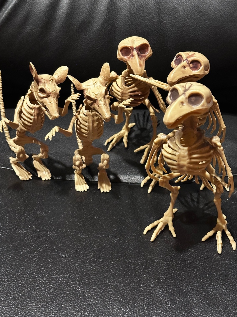 Lot 5 Poseable Rat & Vulture Skeletons Halloween Creepy Haunted House Decor Prop